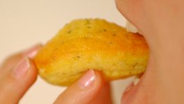 Madeleines au citron et graines de pavot