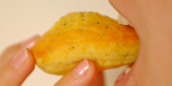 Madeleines au citron et graines de pavot